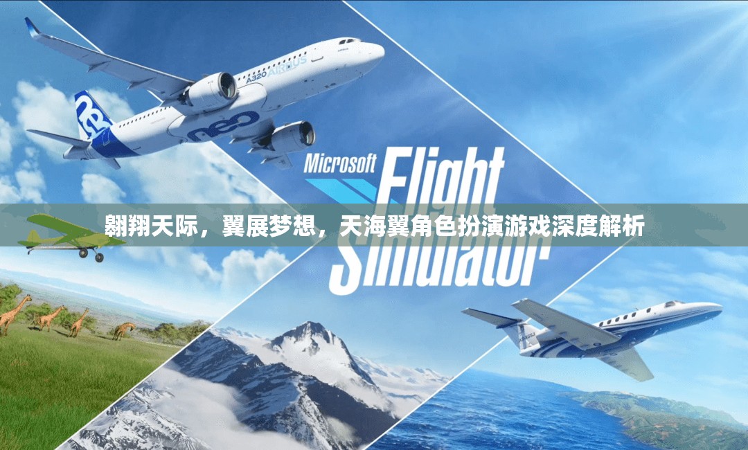 天海翼，翱翔天際的夢想之旅——角色扮演游戲深度解析