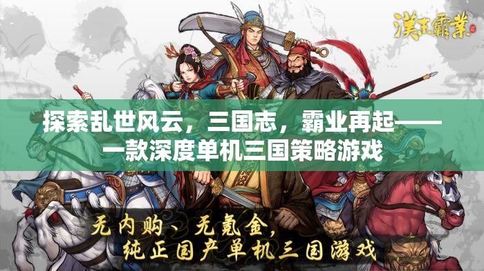 亂世風(fēng)云再起，深度單機(jī)三國(guó)策略游戲三國(guó)志