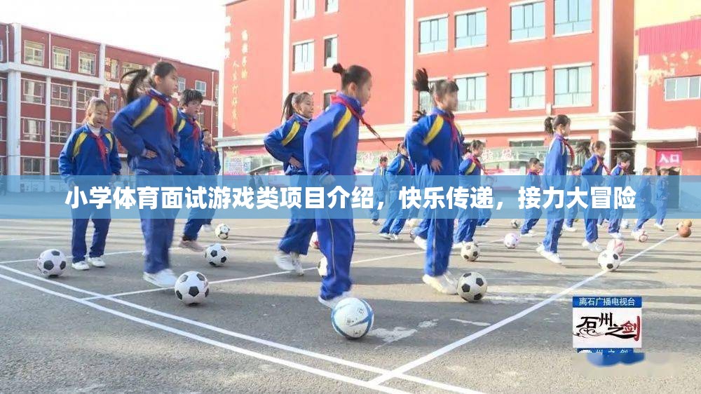 快樂傳遞，小學(xué)體育面試中的接力大冒險(xiǎn)游戲