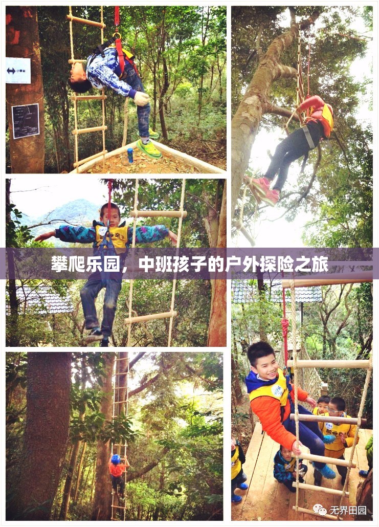 中班孩子的戶外探險，攀爬樂園的挑戰(zhàn)之旅