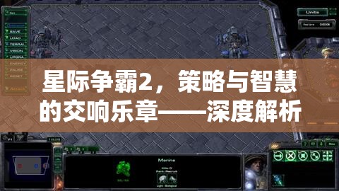 星際爭(zhēng)霸2，策略與智慧的交響樂章——深度解析其代碼背后的奧秘