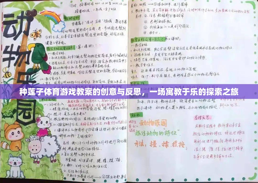 寓教于樂(lè)，種蓮子體育游戲教案的創(chuàng)意與反思