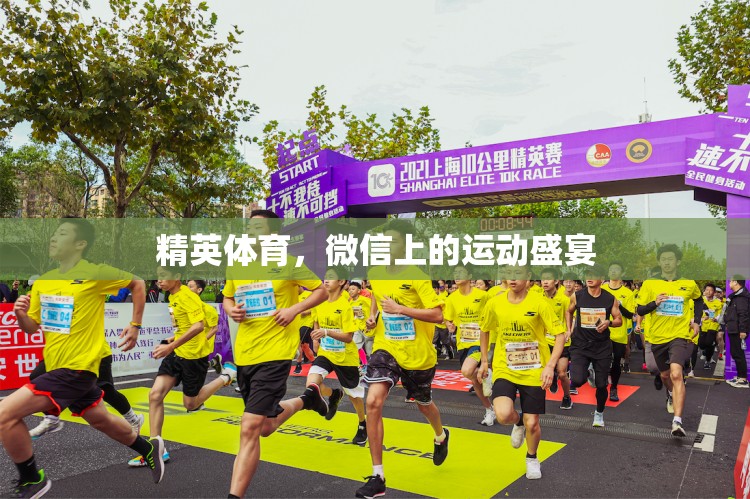 微信上的運(yùn)動(dòng)盛宴，精英體育的數(shù)字舞臺(tái)  第1張
