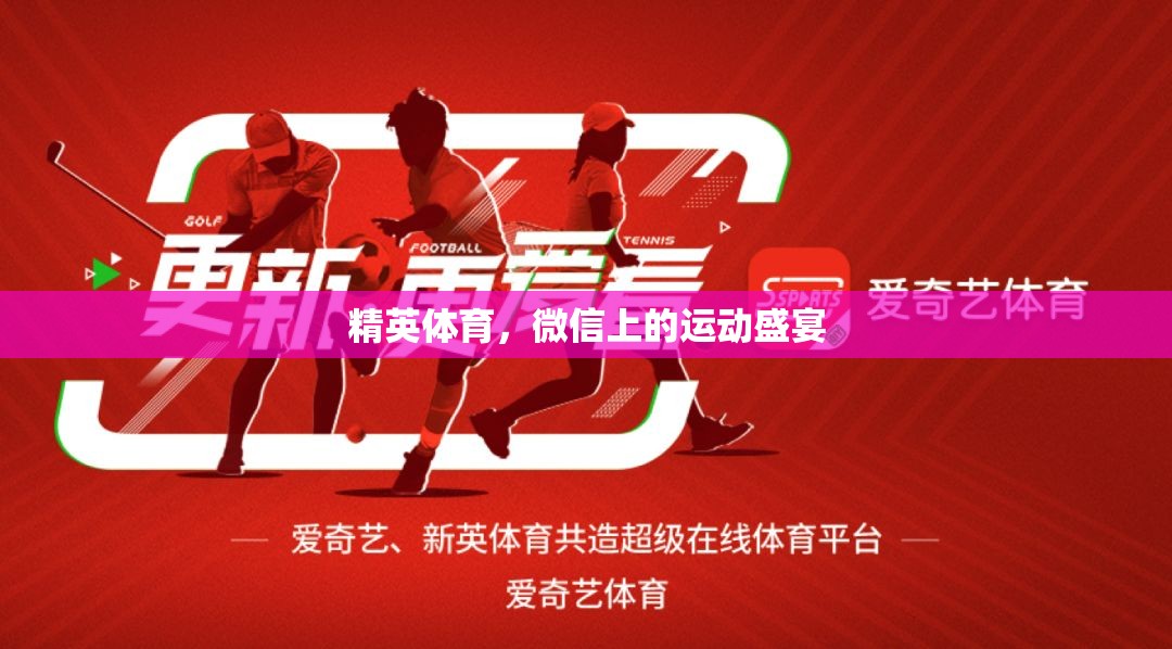 微信上的運(yùn)動(dòng)盛宴，精英體育的數(shù)字舞臺(tái)  第2張