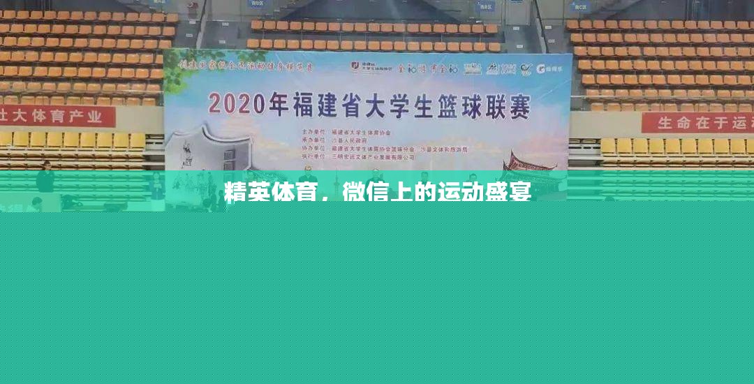 微信上的運(yùn)動(dòng)盛宴，精英體育的數(shù)字舞臺(tái)  第3張