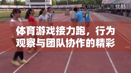接力跑中的行為觀察與團隊協(xié)作，體育游戲中的精彩篇章