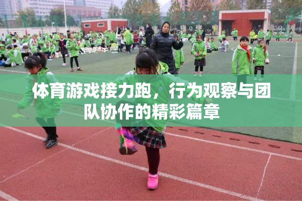 接力跑中的行為觀察與團隊協(xié)作，體育游戲中的精彩篇章