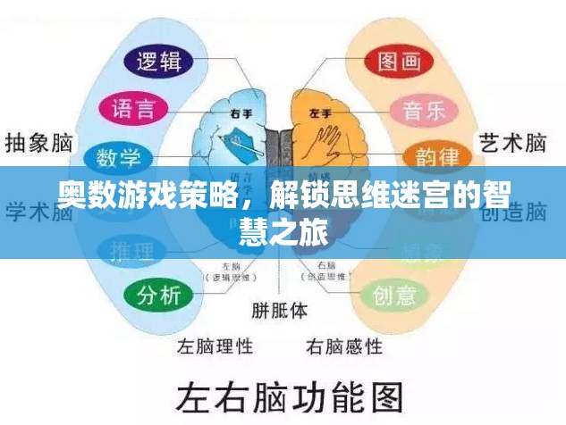 解鎖思維迷宮，奧數(shù)游戲策略的智慧之旅