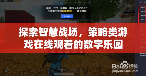 智慧戰(zhàn)場，探索策略類游戲在線觀看的數(shù)字樂園