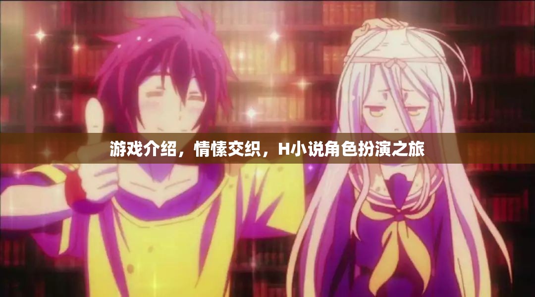 情愫交織的H小說(shuō)角色扮演之旅，游戲深度解析