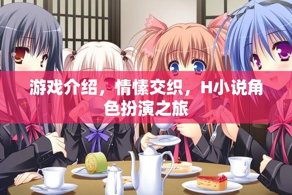 情愫交織的H小說(shuō)角色扮演之旅，游戲深度解析
