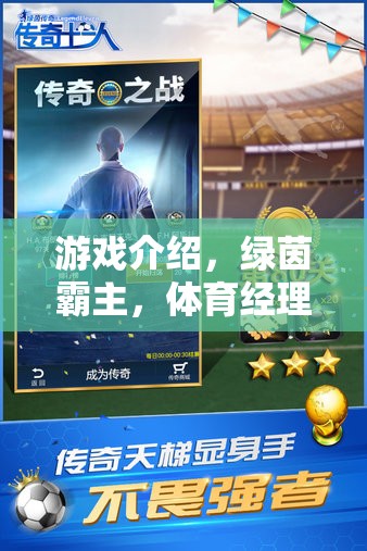 游戲介紹，綠茵霸主，體育經(jīng)理—— 打造你的足球帝國