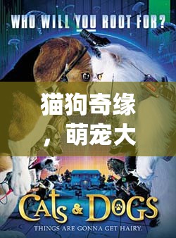 貓狗奇緣，萌寵大冒險(xiǎn)——溫馨角色扮演新體驗(yàn)