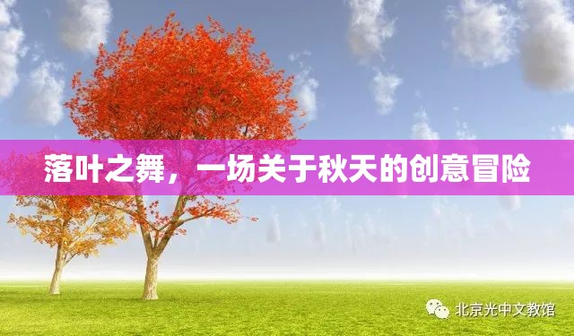 秋日舞動(dòng)，一場(chǎng)落葉的創(chuàng)意冒險(xiǎn)  第1張