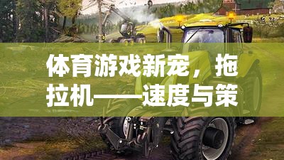 拖拉機(jī)，速度與策略的完美融合，成為體育游戲新寵