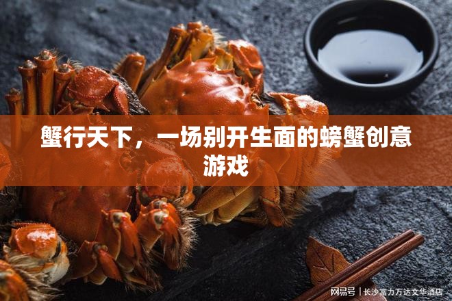 蟹行天下，一場別具一格的螃蟹創(chuàng)意游戲
