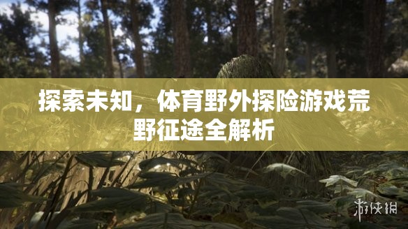 荒野征途，全面解析體育野外探險游戲