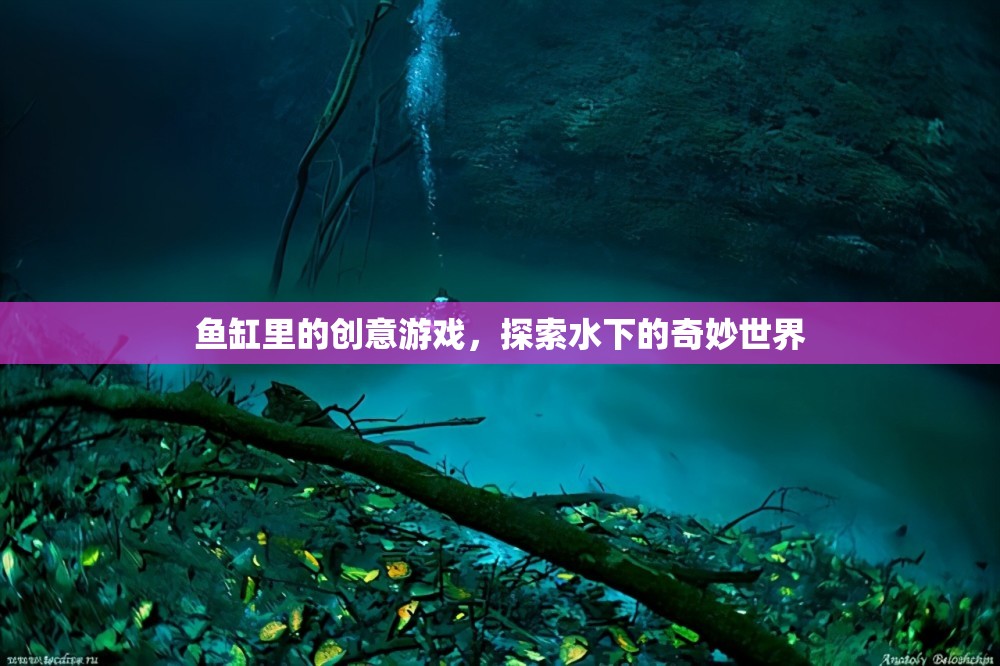 魚(yú)缸里的創(chuàng)意游戲，探索水下的奇妙世界