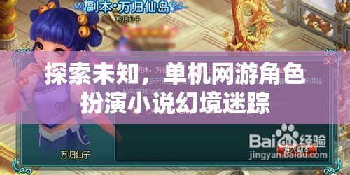 幻境迷蹤，探索未知的單機(jī)網(wǎng)游角色扮演之旅