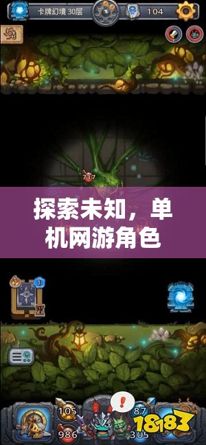 幻境迷蹤，探索未知的單機(jī)網(wǎng)游角色扮演之旅