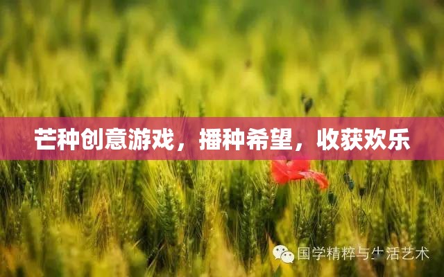 芒種創(chuàng)意游戲，播種希望，收獲歡樂