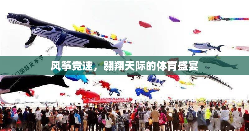 翱翔天際的體育盛宴，風(fēng)箏競(jìng)速的激情與挑戰(zhàn)