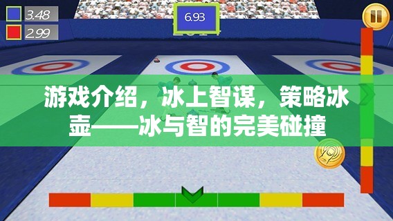 冰上智謀，策略冰壺——冰與智慧的完美碰撞