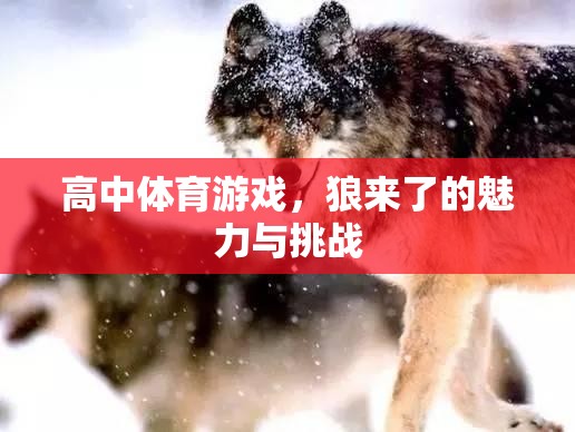 狼來了，高中體育游戲中的魅力與挑戰(zhàn)  第3張