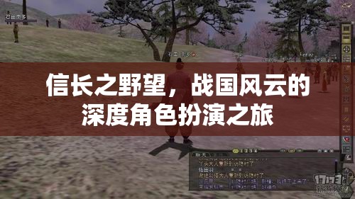 信長(zhǎng)之野望，戰(zhàn)國(guó)風(fēng)云的深度角色扮演之旅