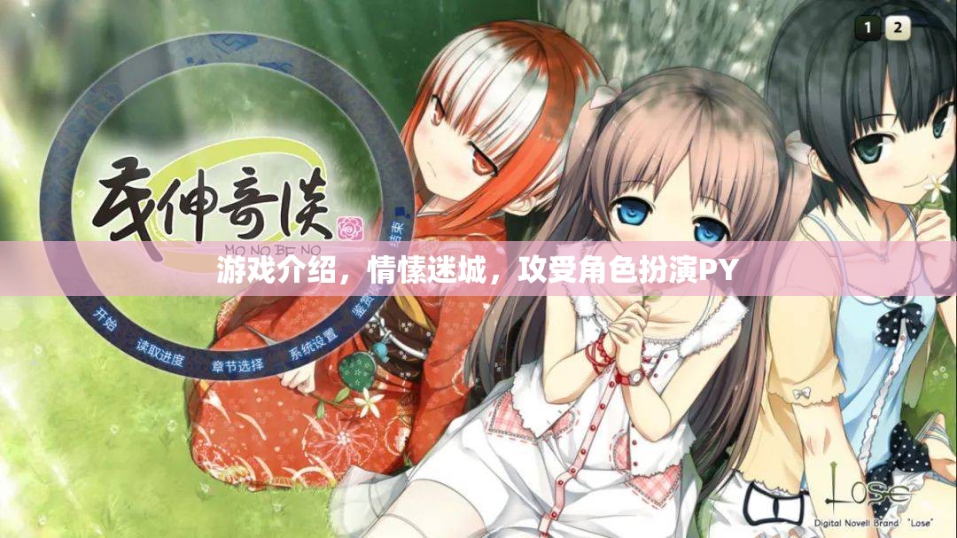 情愫迷城，攻受角色扮演的PY游戲之旅