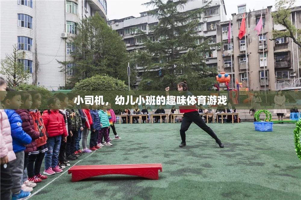 小司機(jī)，幼兒小班趣味體育游戲新體驗(yàn)