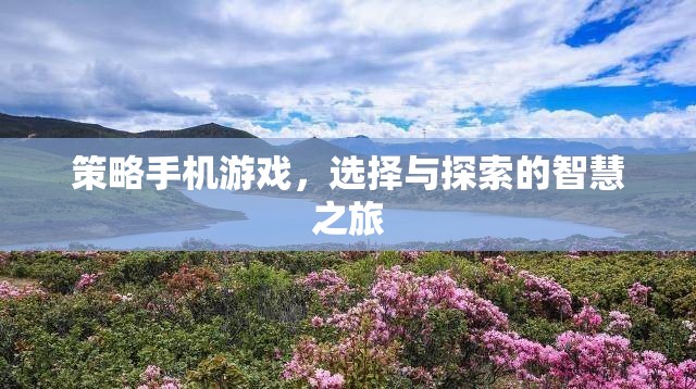 策略手機(jī)游戲，選擇與探索的智慧之旅