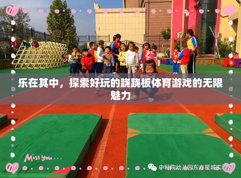 樂在其中，探索蹺蹺板體育游戲的無限魅力