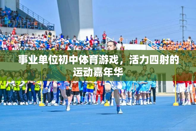 活力四射的初中體育游戲，事業(yè)單位運動嘉年華
