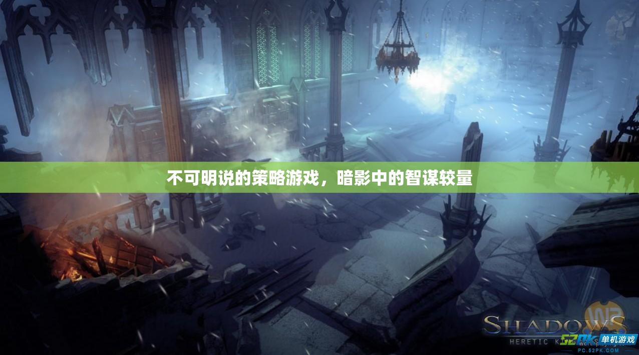 暗影中的智謀較量，不可明說(shuō)的策略游戲
