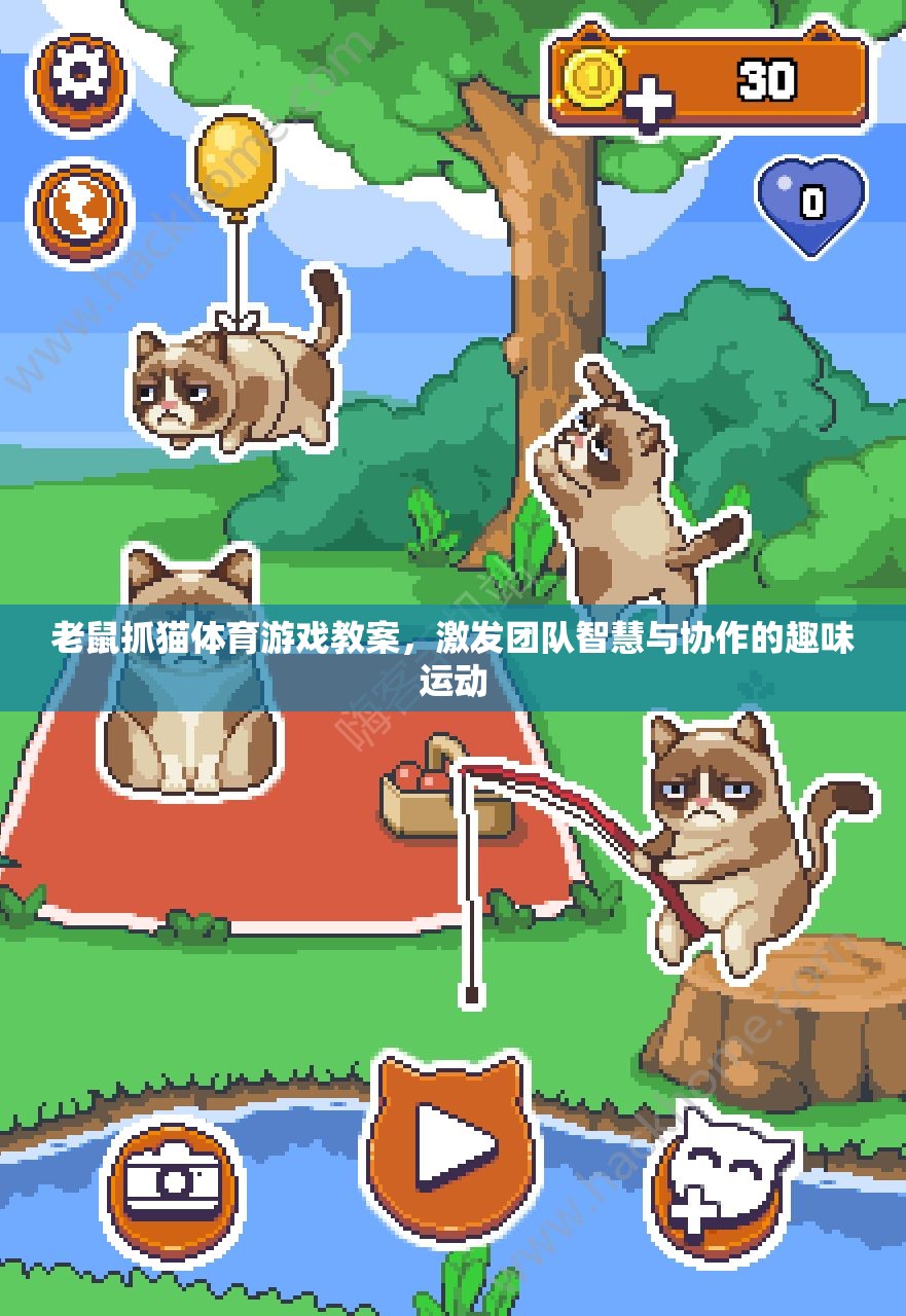 智慧碰撞，協(xié)作共贏，老鼠抓貓?bào)w育游戲教案