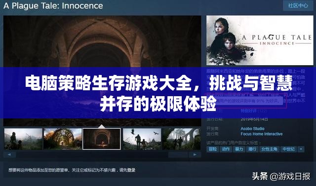 電腦策略生存游戲，挑戰(zhàn)與智慧的極限體驗(yàn)