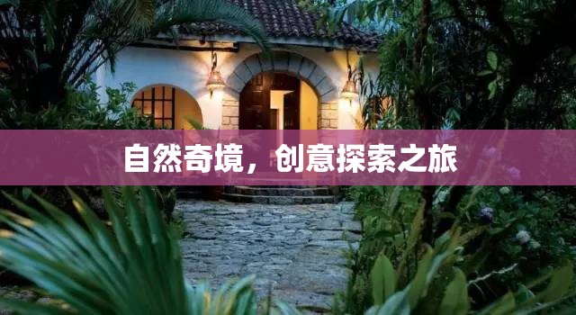自然奇境，一場創(chuàng)意探索的非凡之旅