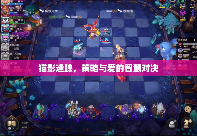貓影迷蹤，策略與愛的智慧對決