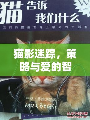 貓影迷蹤，策略與愛的智慧對決