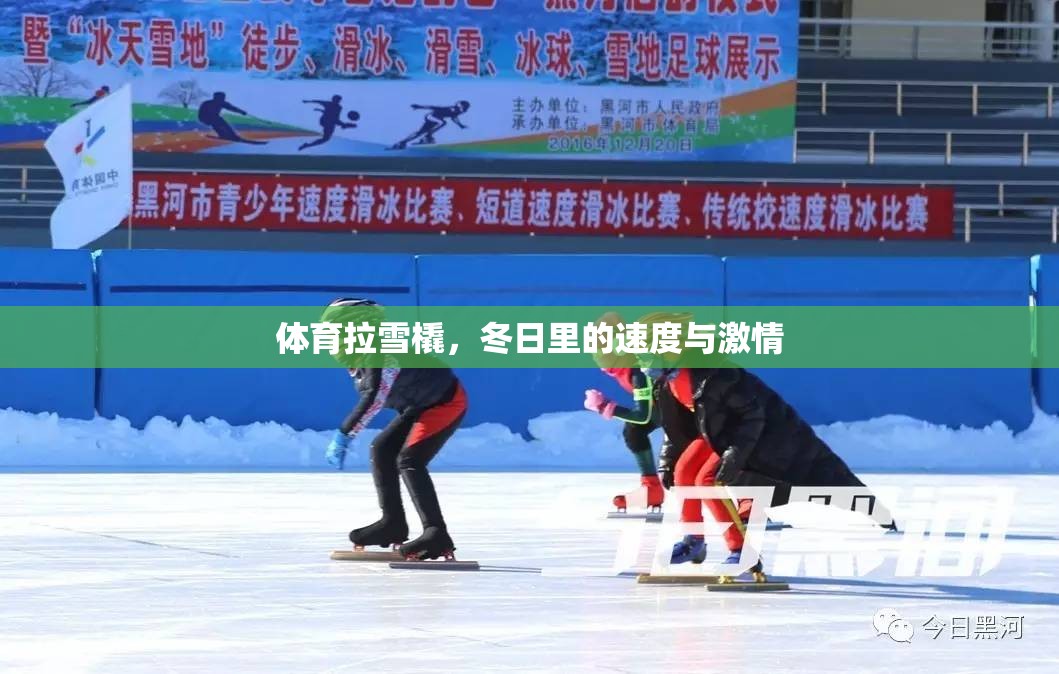 冬日速度與激情，體育拉雪橇的魅力  第3張