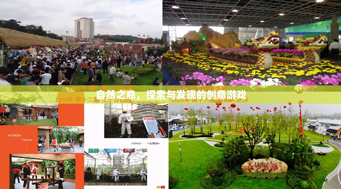 自然之息，探索與發(fā)現(xiàn)的創(chuàng)意冒險(xiǎn)之旅