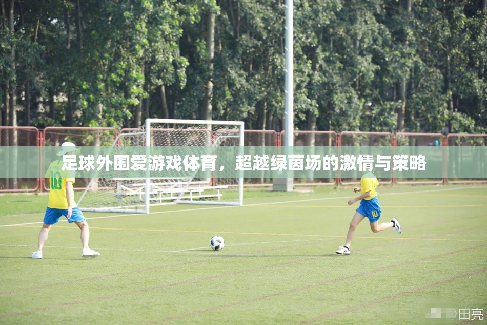 綠茵場外的激情與策略，足球外圍愛游戲體育的魅力