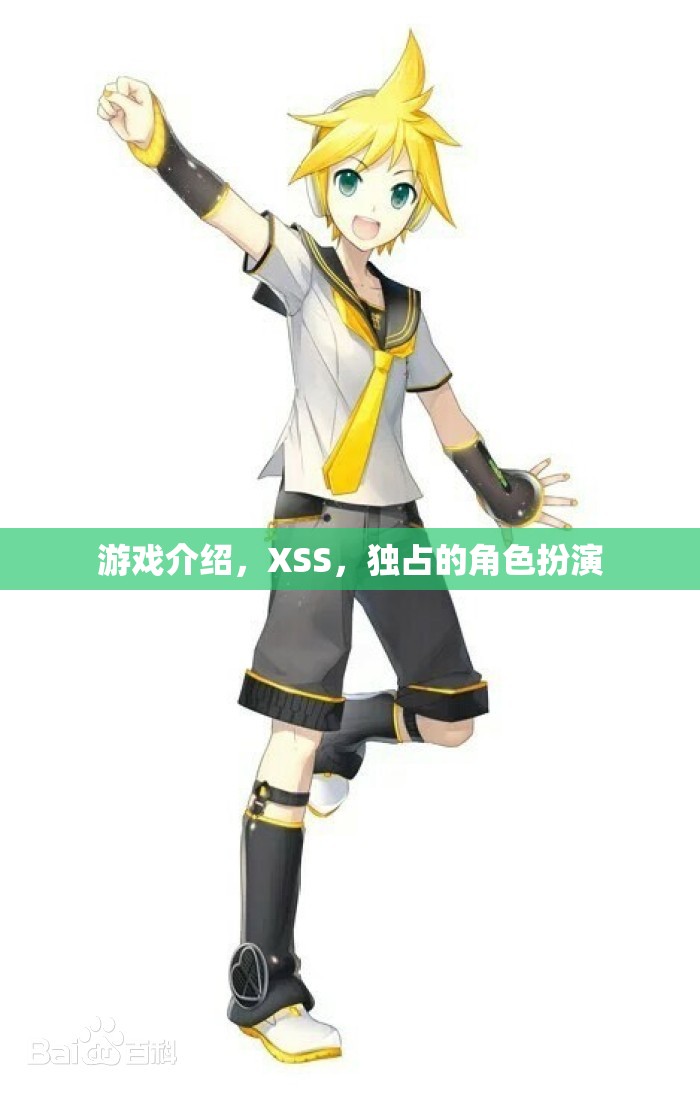 XSS獨(dú)占角色扮演，探索游戲中的獨(dú)特魅力