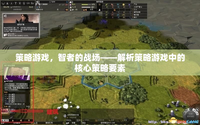 智者的戰(zhàn)場(chǎng)，解析策略游戲中的核心策略要素