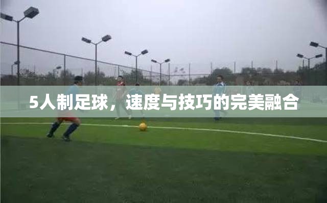 速度與技巧的碰撞，5人制足球的魅力