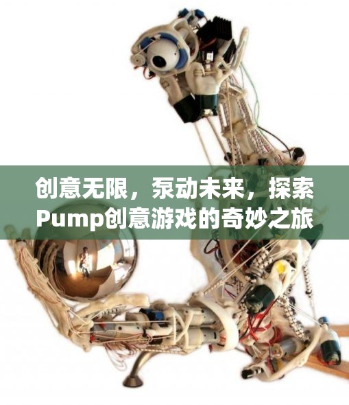 Pump創(chuàng)意游戲，探索無限創(chuàng)意，泵動未來之旅