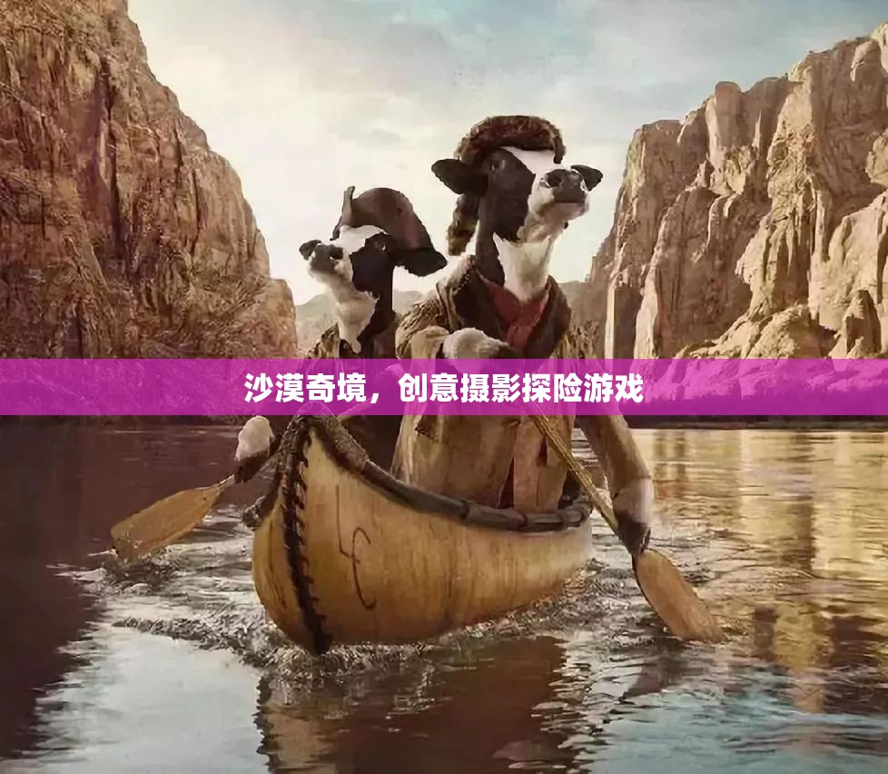 沙漠奇境，創(chuàng)意攝影探險之旅