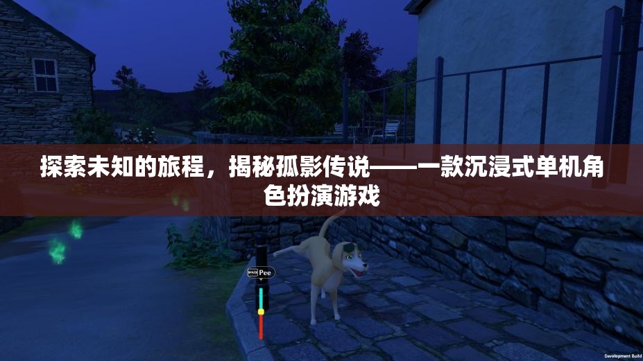 探索未知，揭秘孤影傳說(shuō)的沉浸式冒險(xiǎn)之旅