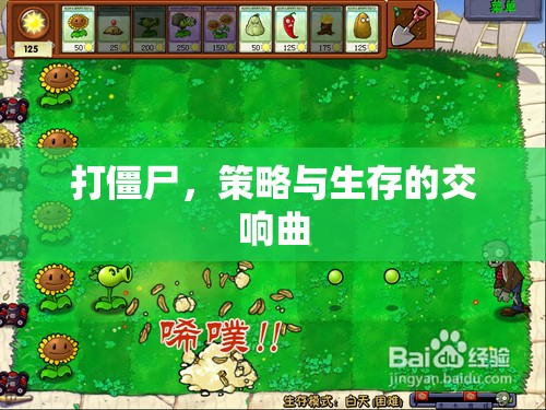 打僵尸，策略與生存的交響樂章